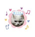 モフモフのちっち②（個別スタンプ：3）