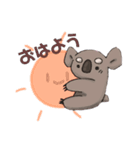 まったりコアラ（個別スタンプ：1）