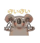 まったりコアラ（個別スタンプ：3）