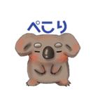 まったりコアラ（個別スタンプ：5）
