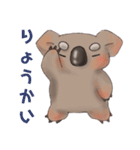 まったりコアラ（個別スタンプ：7）