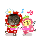 セナ14歳記念STAMP（個別スタンプ：3）