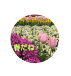 flowers＆more（個別スタンプ：1）