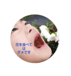 flowers＆more（個別スタンプ：3）