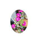 flowers＆more（個別スタンプ：5）