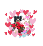 ほのぼの ぷぅ（個別スタンプ：4）
