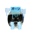 ほのぼの ぷぅ（個別スタンプ：7）
