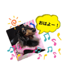 あんじゅ★使える一言★（個別スタンプ：1）