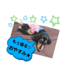 あんじゅ★使える一言★（個別スタンプ：2）