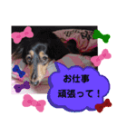 あんじゅ★使える一言★（個別スタンプ：3）