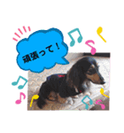 あんじゅ★使える一言★（個別スタンプ：4）