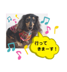 あんじゅ★使える一言★（個別スタンプ：5）