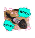 あんじゅ★使える一言★（個別スタンプ：6）