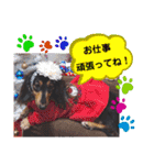 あんじゅ★使える一言★（個別スタンプ：7）