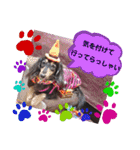 あんじゅ★使える一言★（個別スタンプ：8）