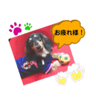 あんじゅ★使える一言★（個別スタンプ：9）