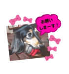 あんじゅ★使える一言★（個別スタンプ：10）