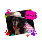 あんじゅ★使える一言★（個別スタンプ：11）
