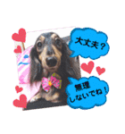 あんじゅ★使える一言★（個別スタンプ：12）