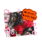 あんじゅ★使える一言★（個別スタンプ：13）