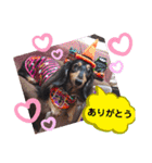 あんじゅ★使える一言★（個別スタンプ：18）