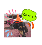 あんじゅ★使える一言★（個別スタンプ：21）