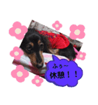 あんじゅ★使える一言★（個別スタンプ：22）