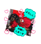 あんじゅ★使える一言★（個別スタンプ：23）