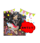 あんじゅ★使える一言★（個別スタンプ：25）