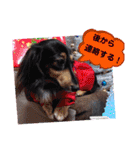 あんじゅ★使える一言★（個別スタンプ：26）