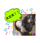 あんじゅ★使える一言★（個別スタンプ：28）