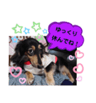 あんじゅ★使える一言★（個別スタンプ：29）