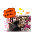 あんじゅ★使える一言★（個別スタンプ：30）