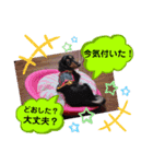 あんじゅ★使える一言★（個別スタンプ：35）