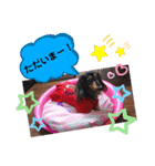 あんじゅ★使える一言★（個別スタンプ：36）