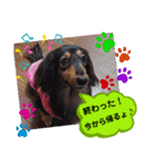 あんじゅ★使える一言★（個別スタンプ：37）