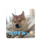 まめちゃんスタンプ讃岐弁ver（個別スタンプ：2）
