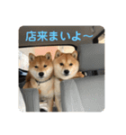 まめちゃんスタンプ讃岐弁ver（個別スタンプ：19）