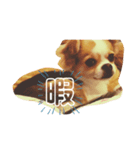 ふくのすたんぷ（個別スタンプ：1）