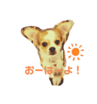 ふくのすたんぷ（個別スタンプ：7）