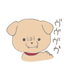 便利なわんこのスタンプ！(雑種犬)（個別スタンプ：10）