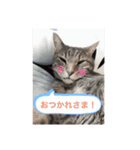 Wモン（個別スタンプ：2）