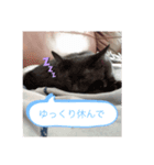 Wモン（個別スタンプ：4）