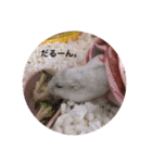 我が家の可愛いあずきちゃん（個別スタンプ：14）