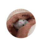 我が家の可愛いあずきちゃん（個別スタンプ：20）