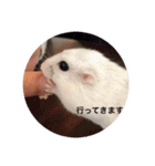 我が家の可愛いあずきちゃん（個別スタンプ：27）