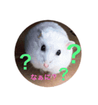 我が家の可愛いあずきちゃん（個別スタンプ：28）