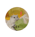我が家の可愛いあずきちゃん（個別スタンプ：29）
