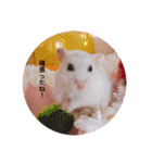 我が家の可愛いあずきちゃん（個別スタンプ：40）