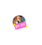 marochanのスタンプ（個別スタンプ：2）